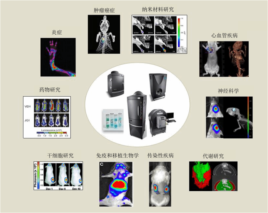 小动物活体成像系统